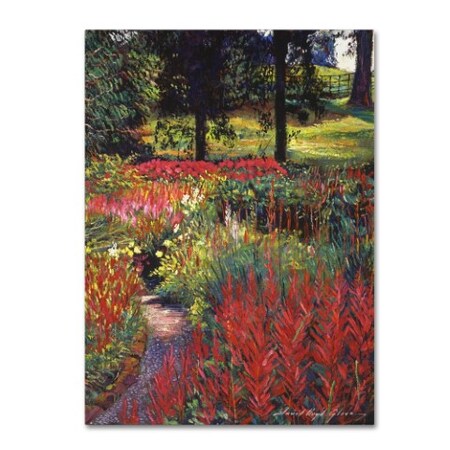 Trademark Fine Art David Lloyd Glover 'Nature's Dreamscape' Canvas Art, 35x47 DLG0354-C3547GG